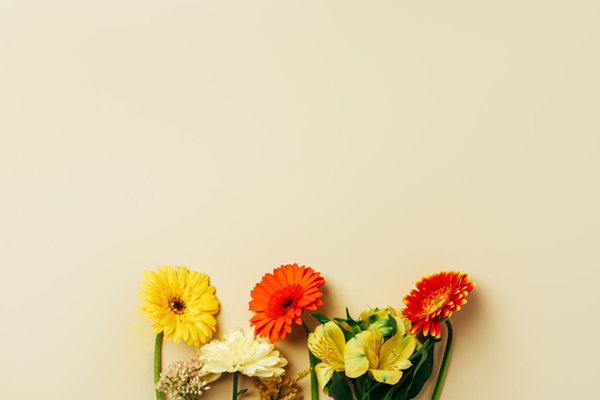 眼表眼角膜,希瑪瑞視眼科,上海眼科醫院