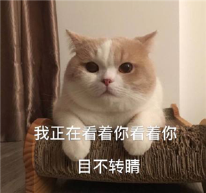 小兒眼病,希瑪瑞視眼科,上海眼科醫院 小兒眼病,希瑪瑞視眼科,上海眼科醫院