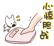 眼表眼角膜,希瑪瑞視眼科,上海眼科醫(yī)院