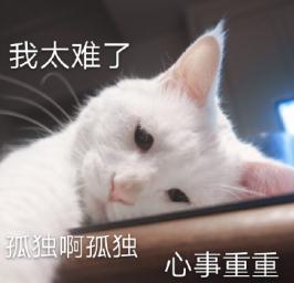 白內障,希瑪瑞視眼科,上海眼科醫(yī)院 白內障,希瑪瑞視眼科,上海眼科醫(yī)院