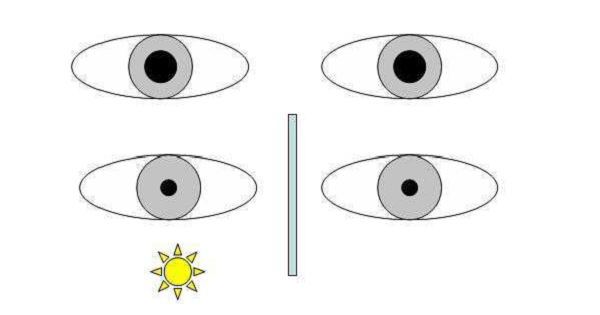玻璃體視網(wǎng)膜,希瑪瑞視眼科,上海眼科醫(yī)院