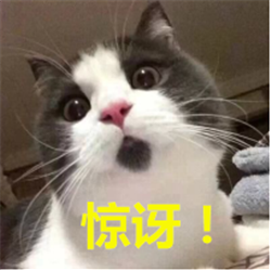 青光眼,希瑪瑞視眼科,上海眼科醫院 青光眼,希瑪瑞視眼科,上海眼科醫院