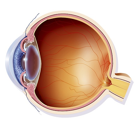 青光眼,希瑪瑞視眼科,上海眼科醫院