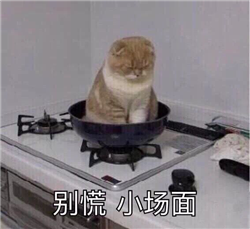 玻璃體視網膜,希瑪瑞視眼科,上海眼科醫院