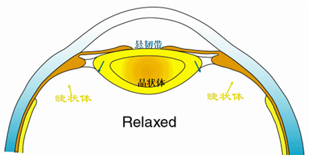 小兒眼病,希瑪瑞視眼科,上海眼科醫院