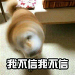 玻璃體視網膜,希瑪瑞視眼科,上海眼科醫院 玻璃體視網膜,希瑪瑞視眼科,上海眼科醫院