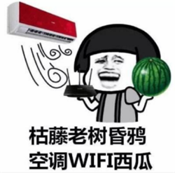 眼表眼角膜,希瑪瑞視眼科,上海眼科醫(yī)院