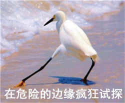 眼表眼角膜,希瑪瑞視眼科,上海眼科醫院 眼表眼角膜,希瑪瑞視眼科,上海眼科醫院